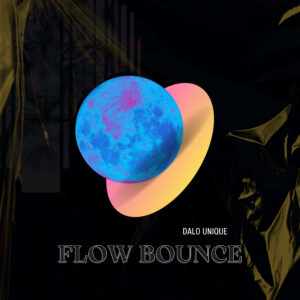 Flow Bounce Dalo Unique